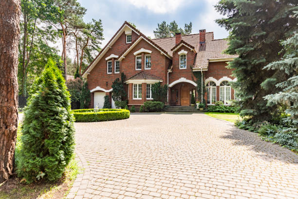 Best Custom Driveway Pavers  in Homestead Meadows South, TX